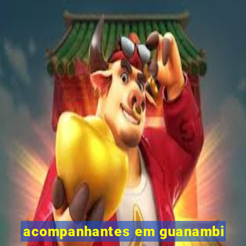 acompanhantes em guanambi